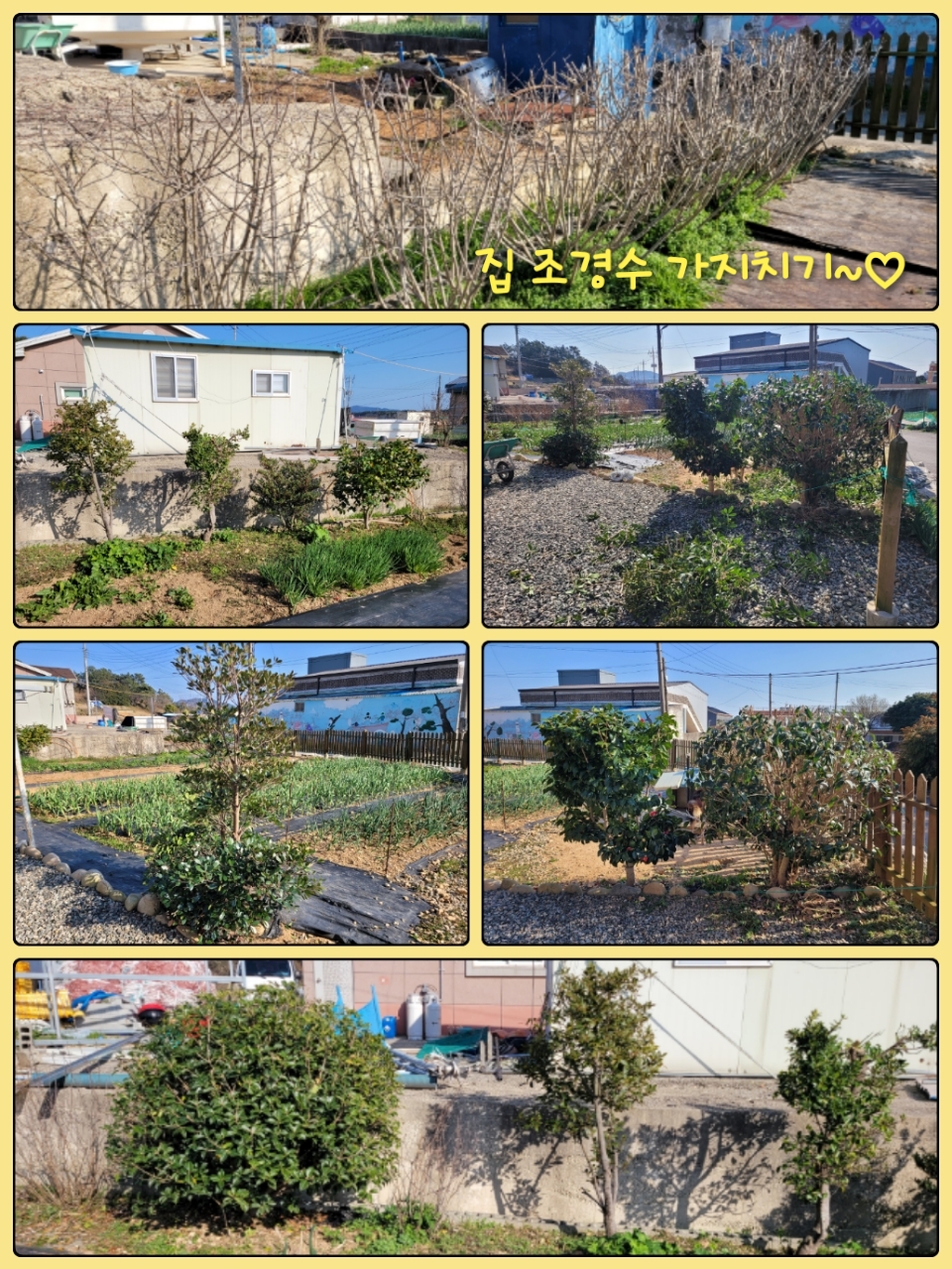 70206a2704af36fb8ca72b1519c23ead.jpeg